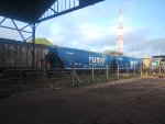 RUMO HTT-352842-1
